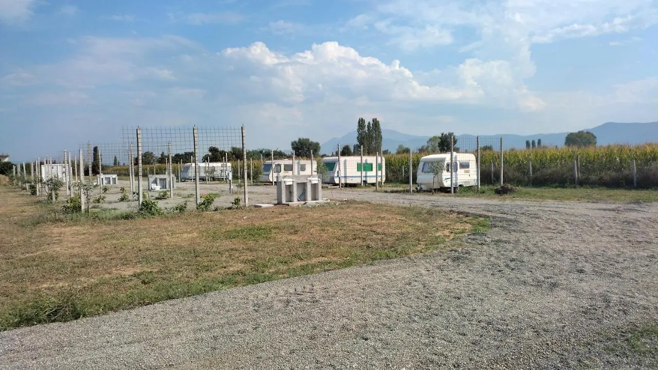 Campsite Agri Camping Italiano - Eucalyptus Shenkoll